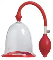 Вакуумные помпы scala