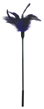 Бдсм и фетиш, цвет фиолетовый