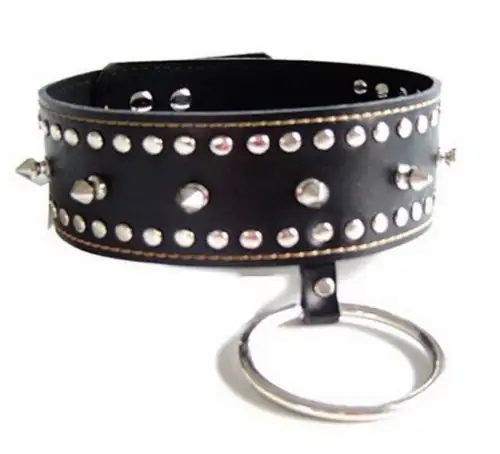 Ошейник с кольцом и шипами photo 1